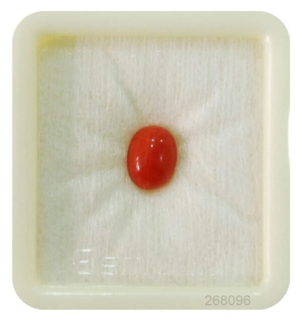 Natural Japanese Stone Natural ( lal moonga ) Oval Cut Munga Gemstone 2.25 Ct to 15 Ct