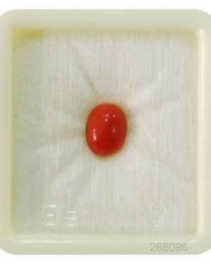 Natural Japanese  Stone Natural ( lal moonga ) Oval Cut Munga Gemstone 2.25 Ct to 15 Ct