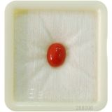Natural Japanese  Stone Natural ( lal moonga ) Oval Cut Munga Gemstone 2.25 Ct to 15 Ct