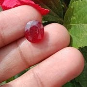 Natural Ruby Stone Natural ( Manik ) Oval Cut Kempu Gemstone Natural Certified 2.25 Ct to 15 Ct